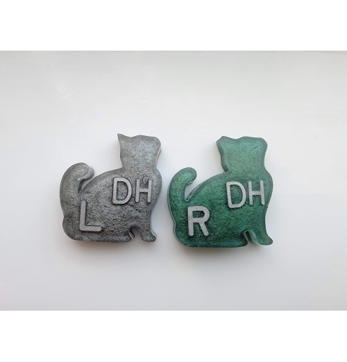 Cat X-Ray Markers