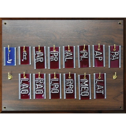 Accelerator Set With Oncology Letters