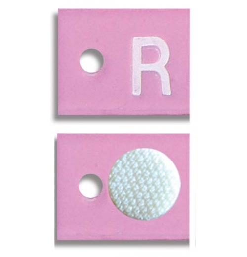 Mammography Word Marker
