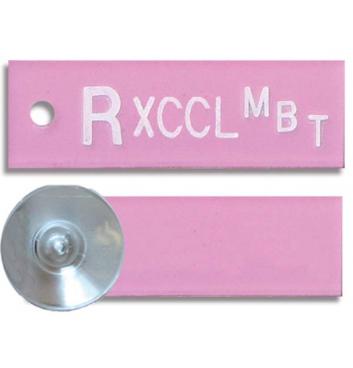 Mammography Word Marker