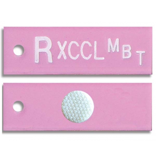 Mammography Word Marker