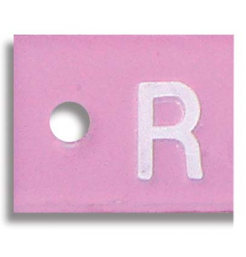 Mammography Word Marker