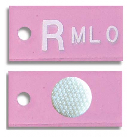 Mammography Word Marker