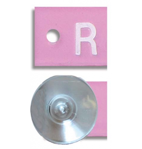Mammography Word Marker
