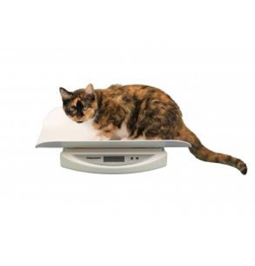 Veterinary Scale
